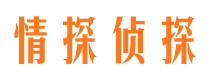 正宁市场调查